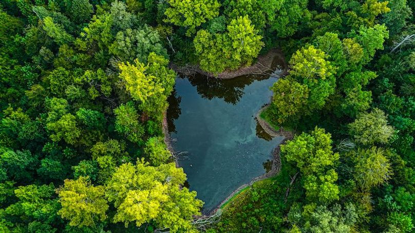 Hinds Co - 78 - Newman-14