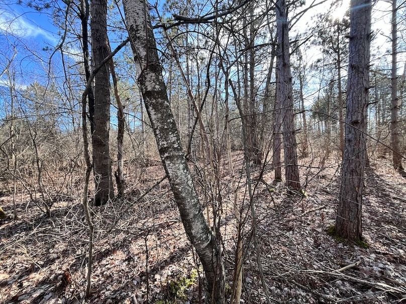 Jefferson_10.4_Somberg Lot 4&5 Photo 11