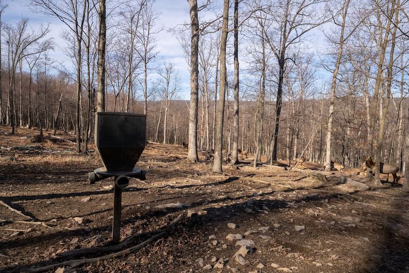 Copy of Hampshire WV 200 Featured_Pro Photo-5