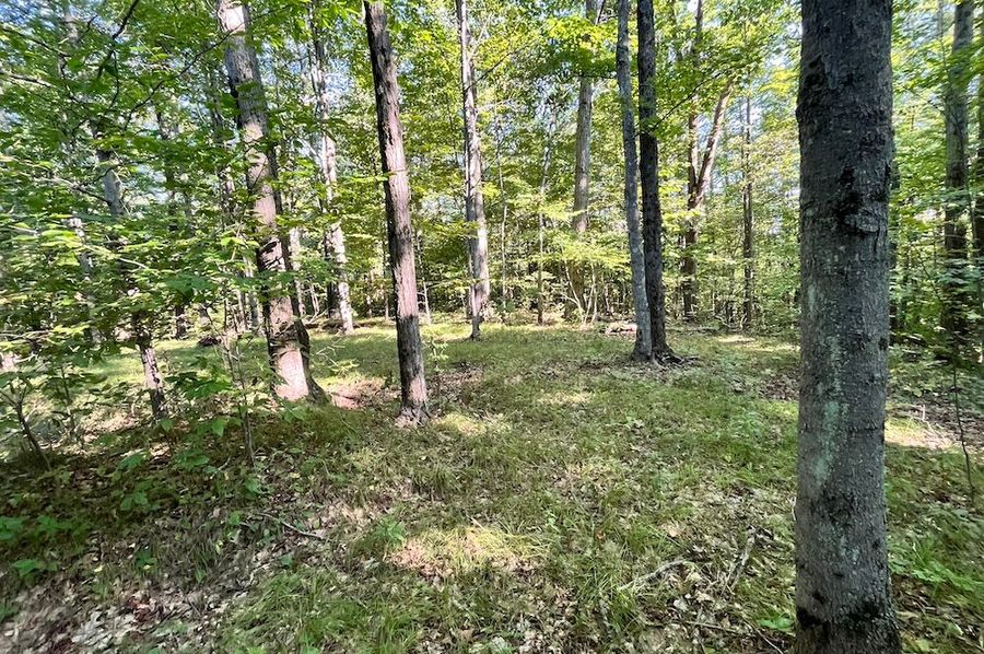 Chemung_20.000_Rouseland_Lot3_Photos_4