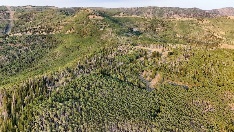 DJI_20250726190711_0284_D