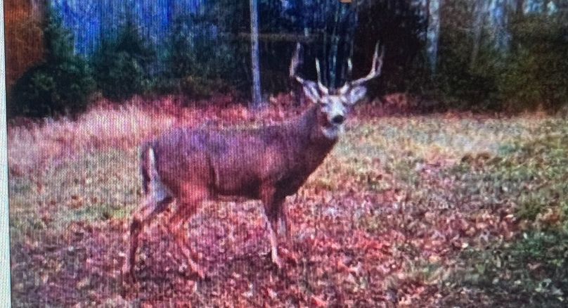 Screenshot 2023-06-07 at 10.28.29 AM