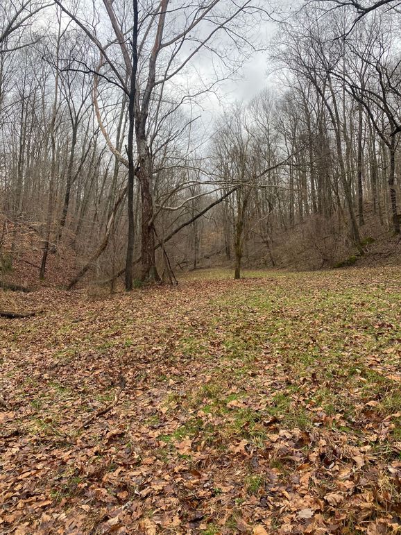 Greenup Ky Mauk 46.15 02