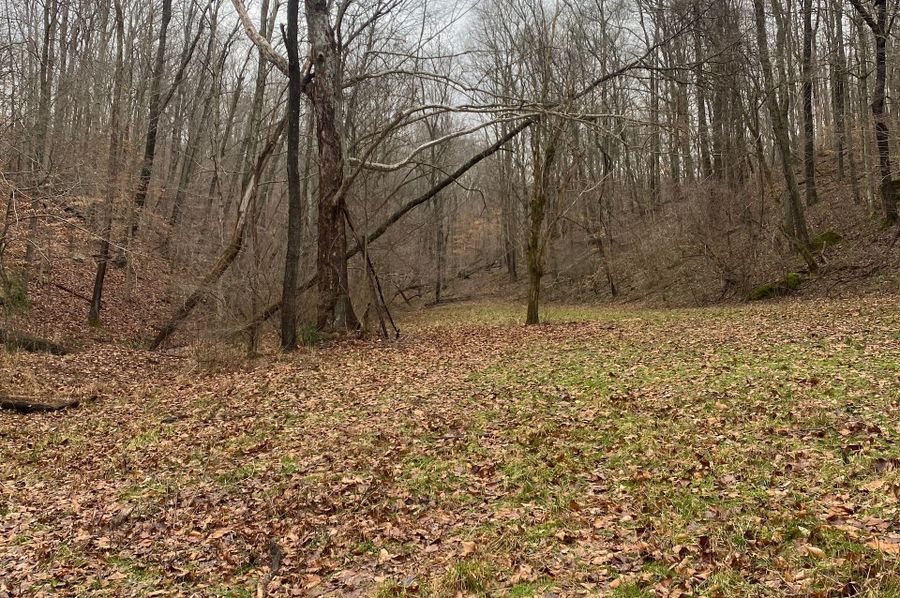 Greenup Ky Mauk 46.15 02