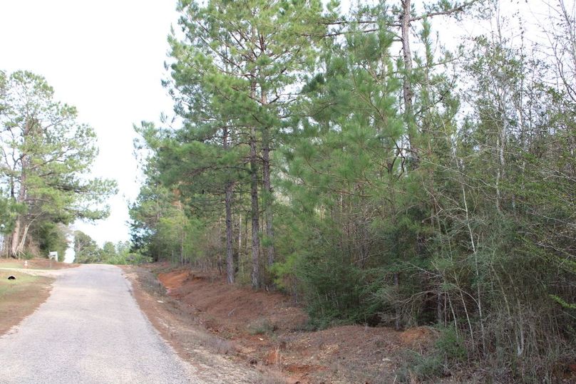 3D38A6A5-898F-4D10-80BE-9D72A88725D4_1_105_c