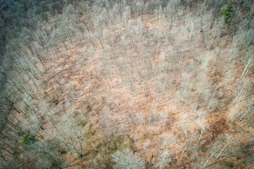 dji_fly_20260302_104504_545_1772466894652_photo