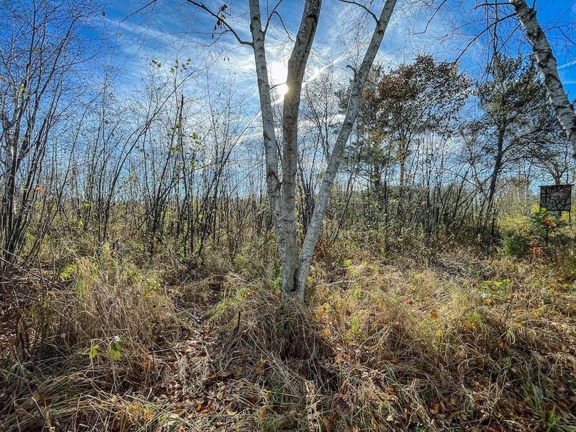 Clark 24.75 Winkel -30