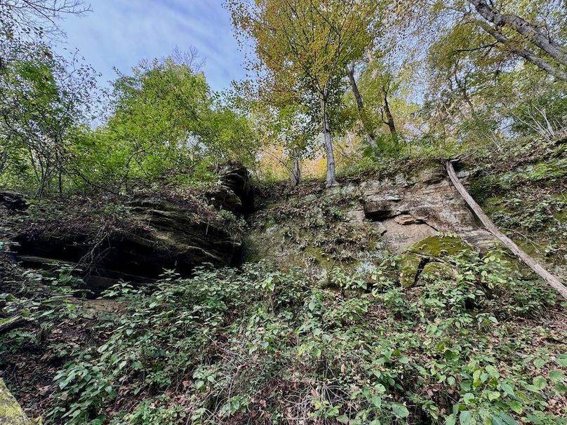 Richland 199Ground - 63