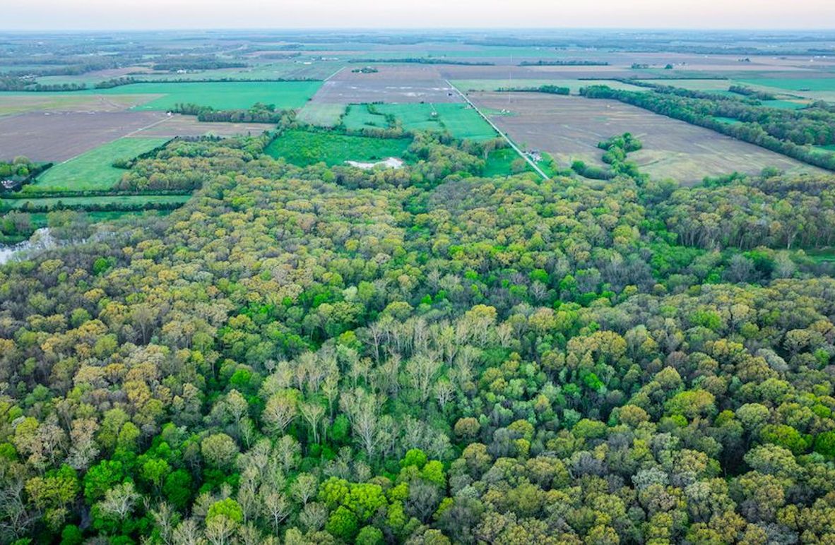 DJI_20250423054933_0019_D