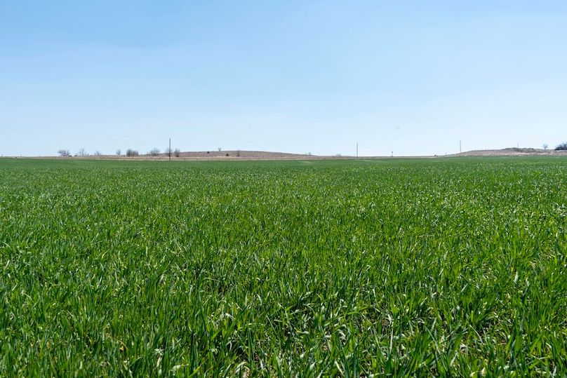 Ottawa, KS, 77_028