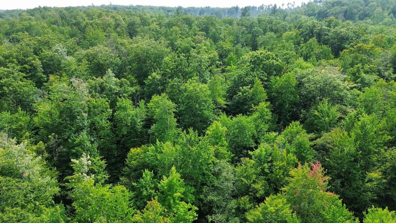 dji_fly_20230809_154916_195_1691610589152_photo_optimized