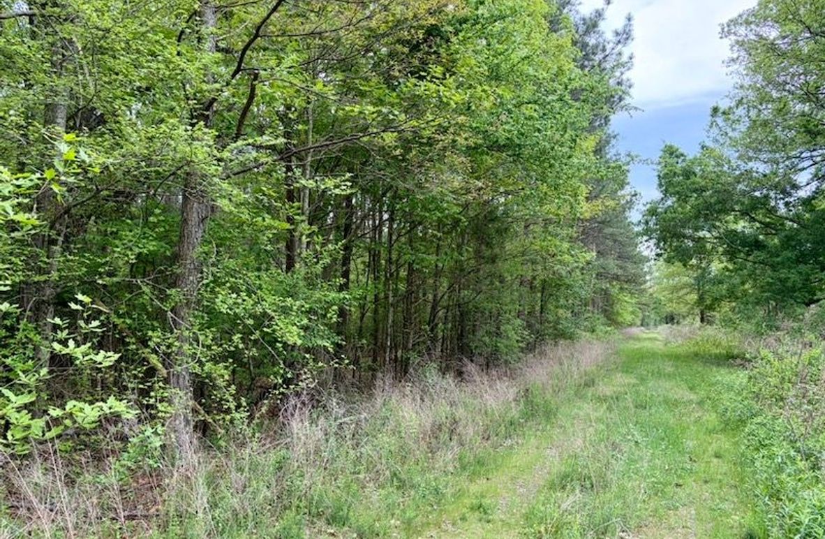 2BB4F51B-390C-4FD8-AE14-F0805EDB7D7B_1_105_c