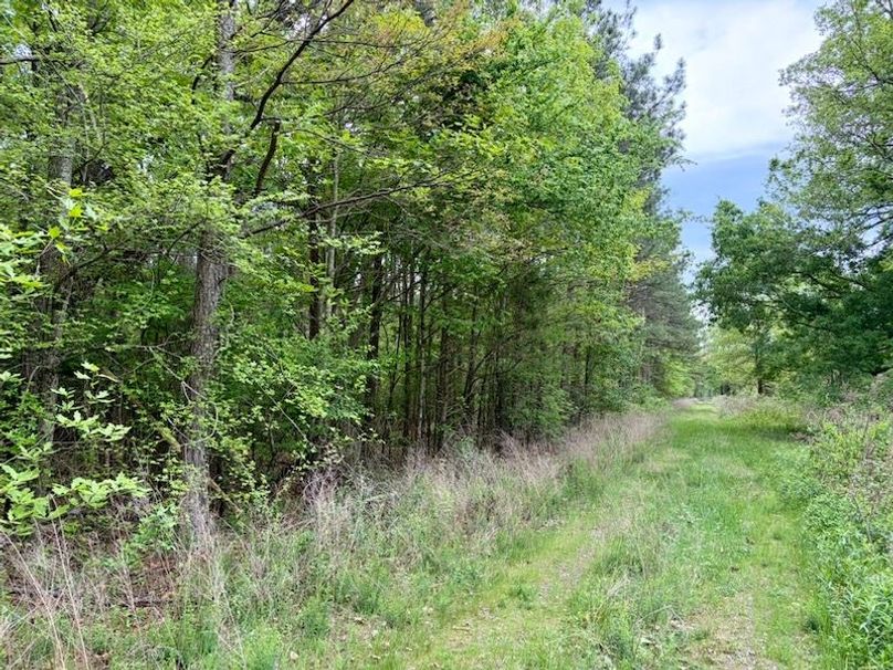 2BB4F51B-390C-4FD8-AE14-F0805EDB7D7B_1_105_c