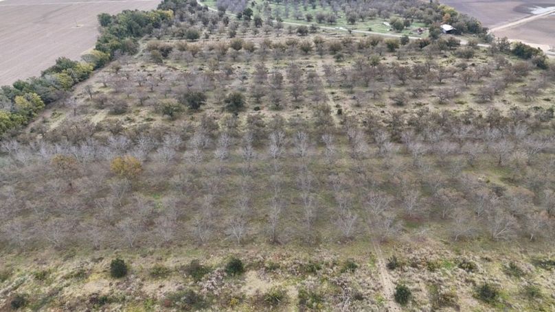 dji_fly_20251107_043250_0042_1762484033360_photo