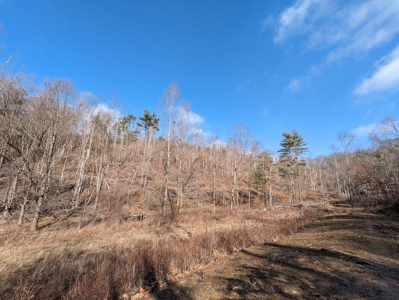 PXL_20240223_155252597