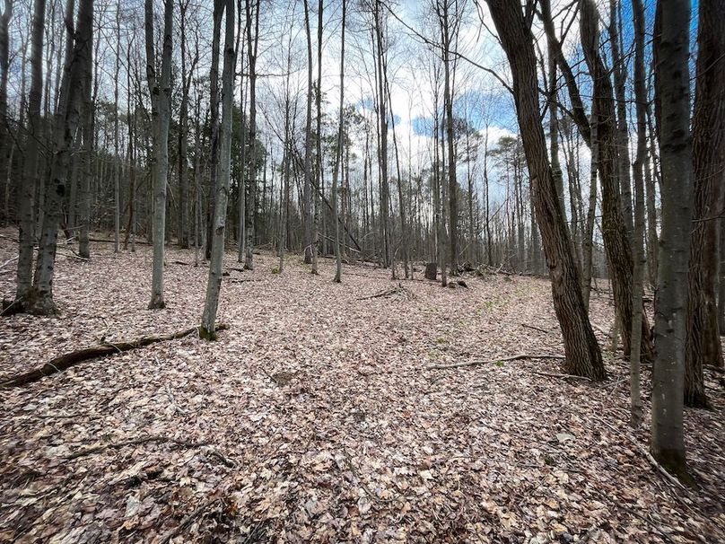 Tioga__NY_109.7_Burris_Photos_76