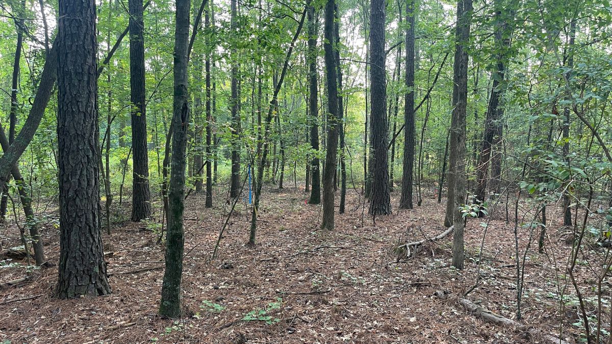 Fowler Road Build Site Whitetail Properties