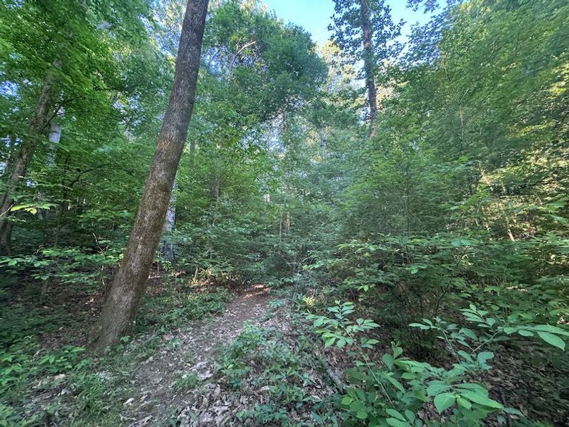 Desoto 8.3 Clement (Final Frontier) -15