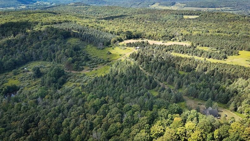 Tioga NY 232.62 Shores Photos 42