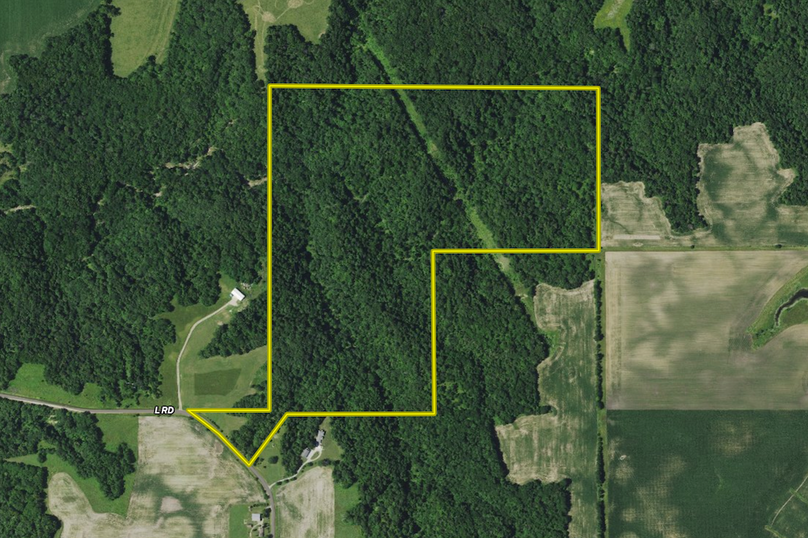 Screenshot 2024-04-08 at 8.49.28 AM