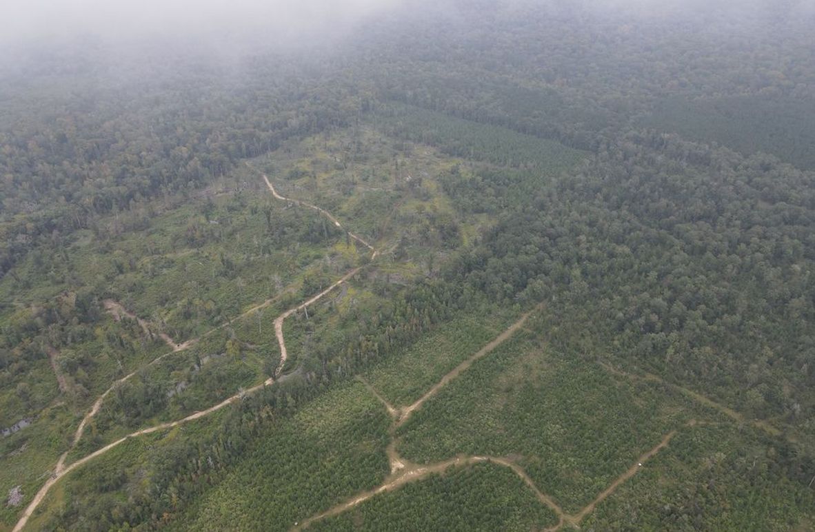 dji_fly_20240917_121900_296_1726593567339_photo