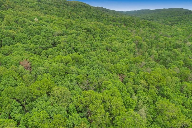 DJI_0363