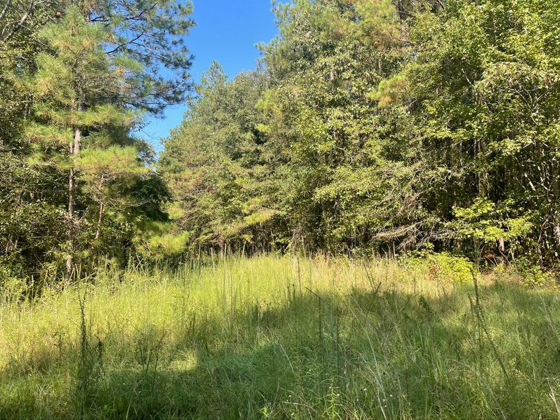 BF4E6675-5922-4C75-A728-3BE9226E7A8E_1_105_c