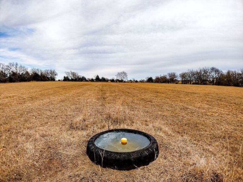 DJI_20260119115843_0731_D