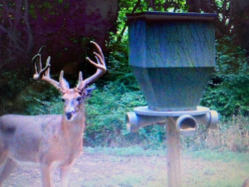 54E703B6-E02E-460A-84E9-194F6089FCFA