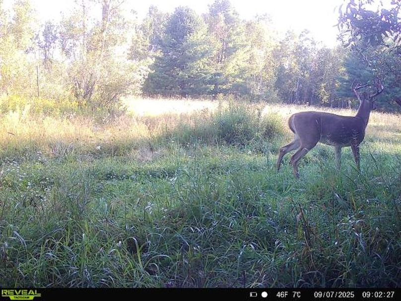 868032063267862-1-4-09072025090226-W1042225