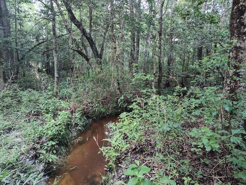 IMG_20250611_185714965