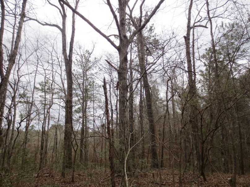 37DD62C3-B982-4051-8F4A-CDC970859C14