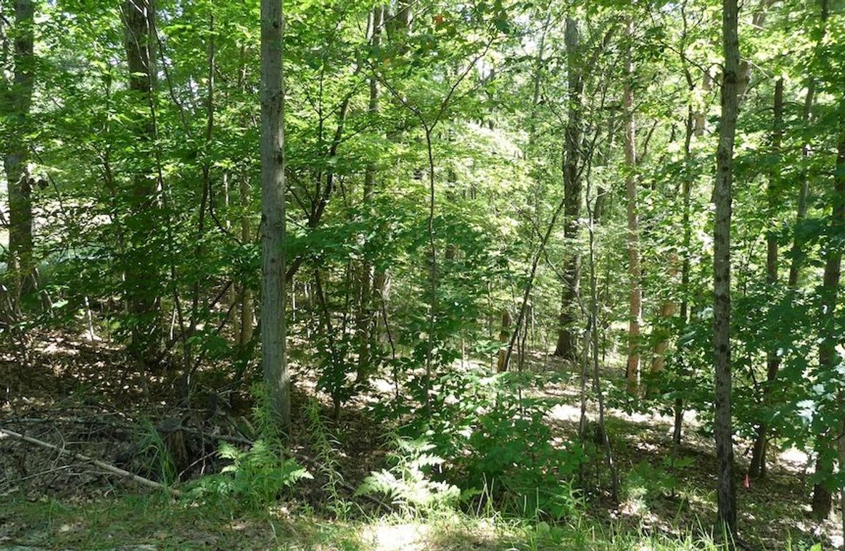 P1040386