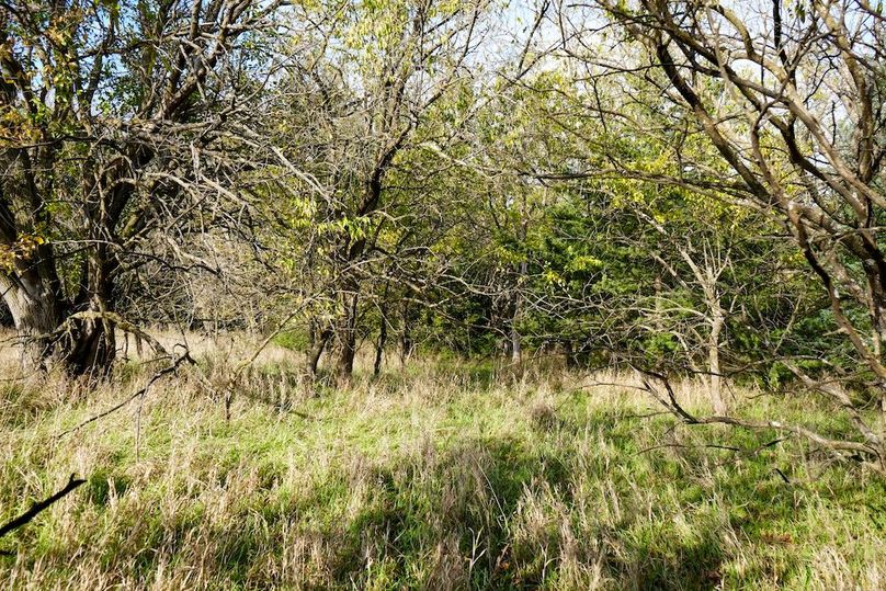 Dickinson Co, 154.5_051