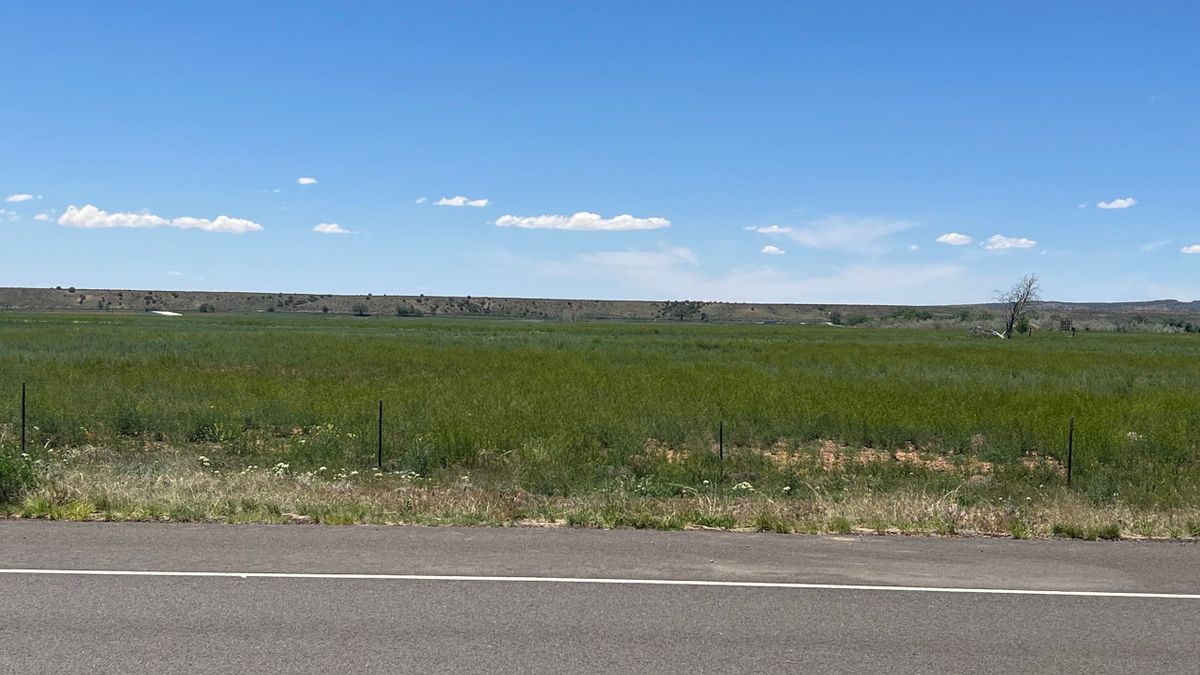 Northwest New Mexico Farming And Duck Hunting Property Whitetail