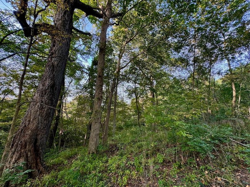 Richland 199Ground - 40