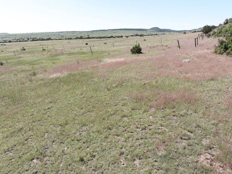 DJI_20250619093503_0025_D