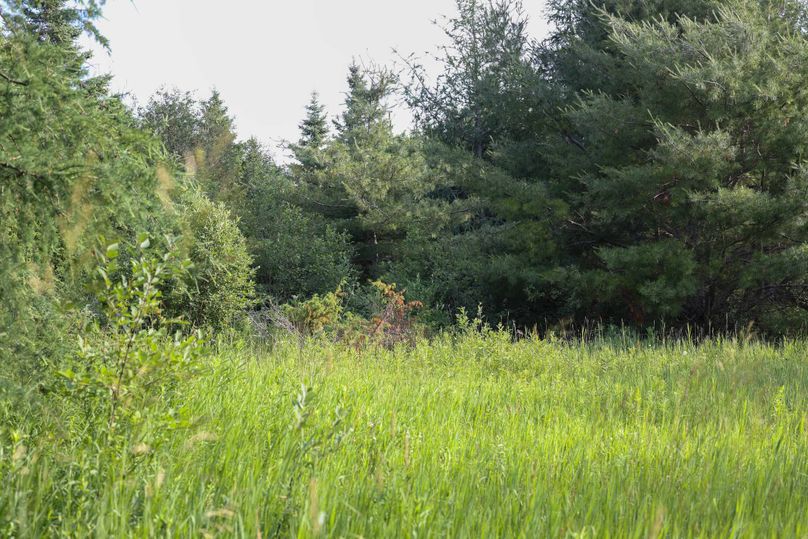 Mackinac20Fewins-6048