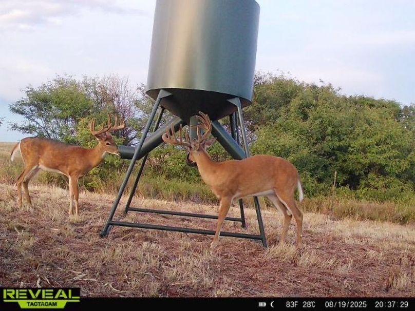 865977050266538-100-4-08192025203728-W1003045