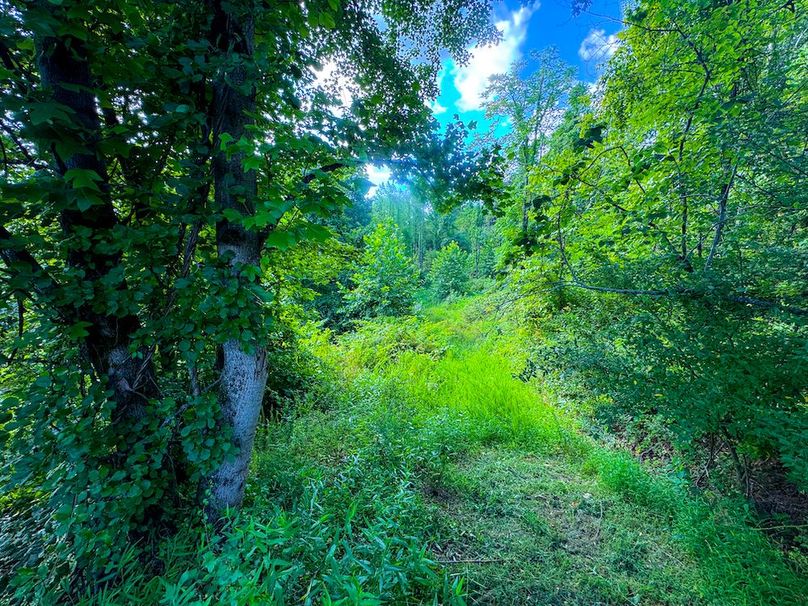 Lewis, WV 82.87 AC Barger-120