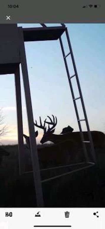 pulse-image-1658112859431