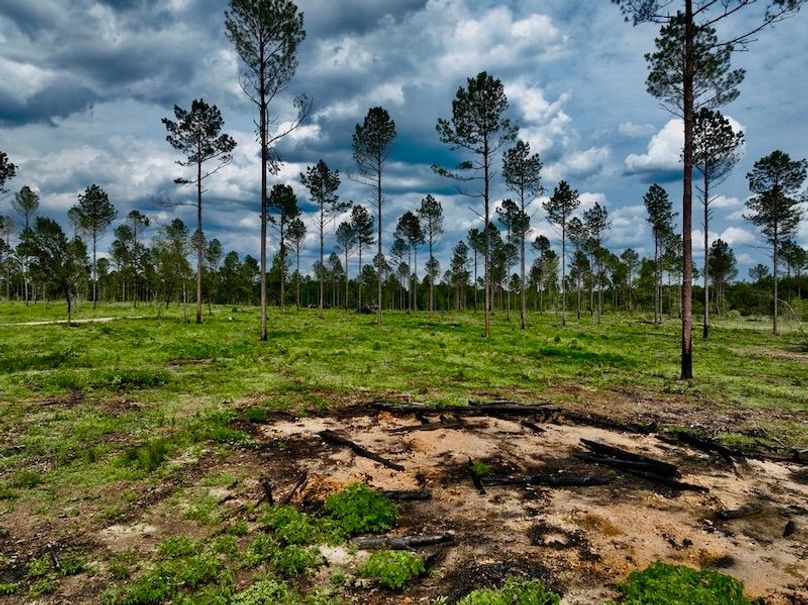 F83FBBA5-7F9F-4CF4-A2E4-80240793A026_1_105_c