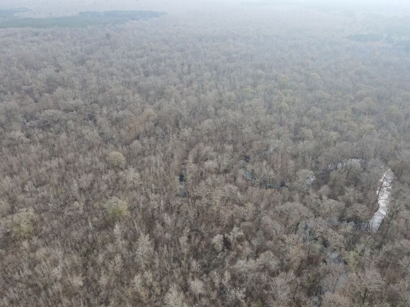 dji_fly_20260109_133124_798_1767987368013_photo