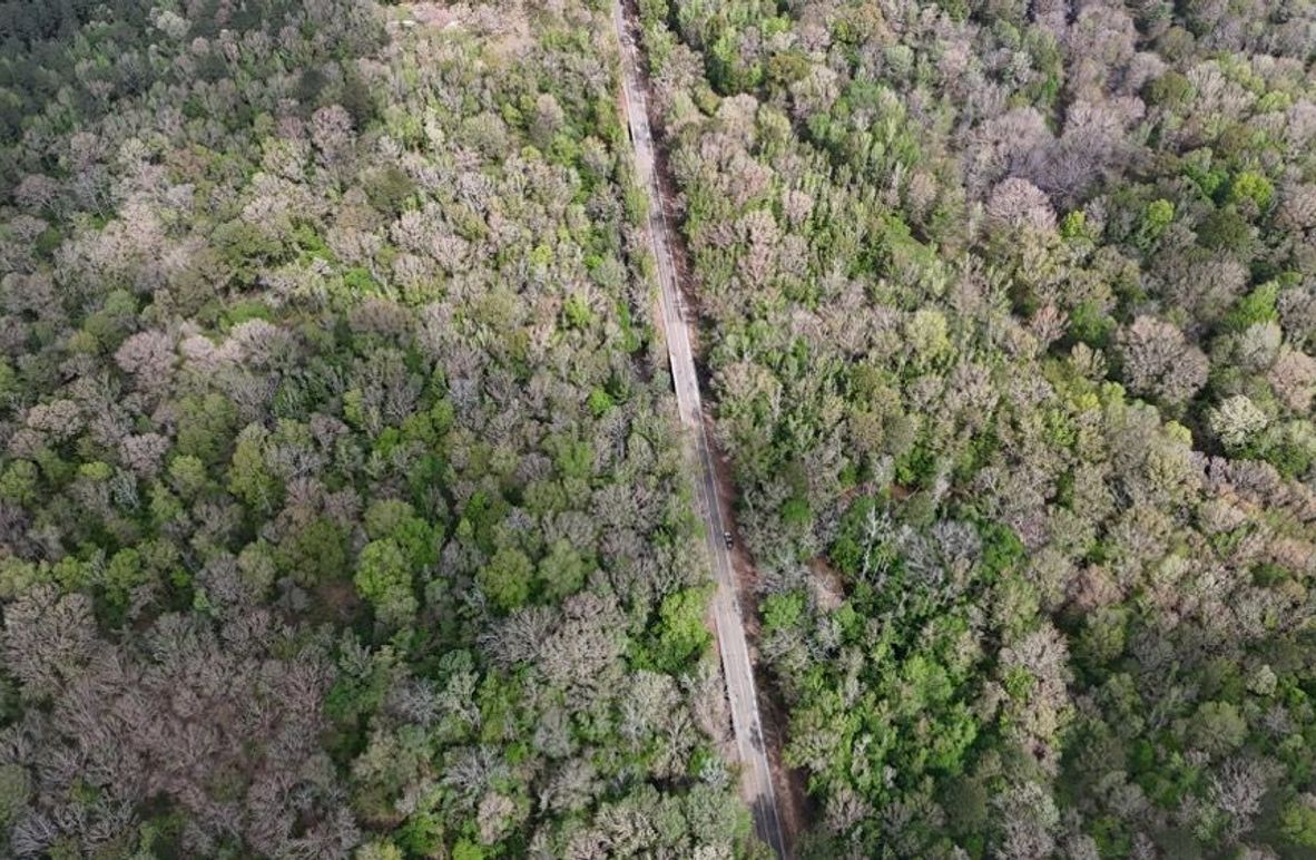 DJI_20260402004315_0206_D