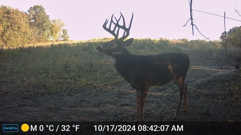 NSCF----_241017084207_0031