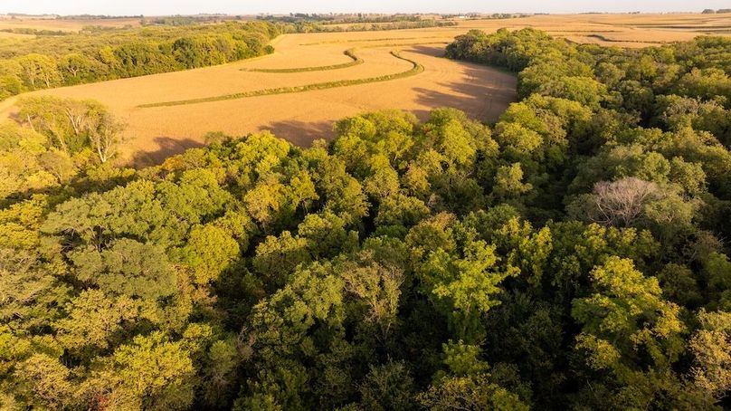 Copy of POTTAWATTAMIE CO IA 311 TRACT 3_39