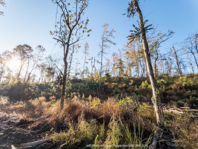 Claiborne Co-151-Geronimo-44