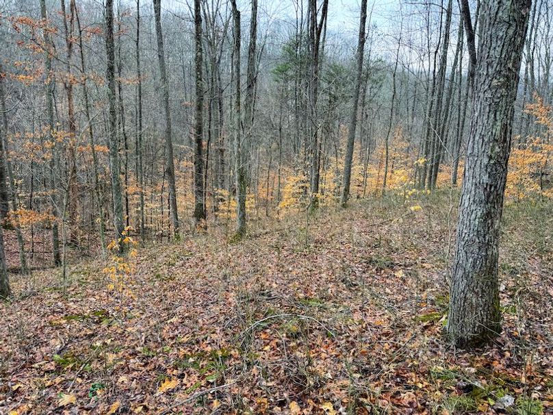 Ritchie, WV 64 AC Hall New Pics-19