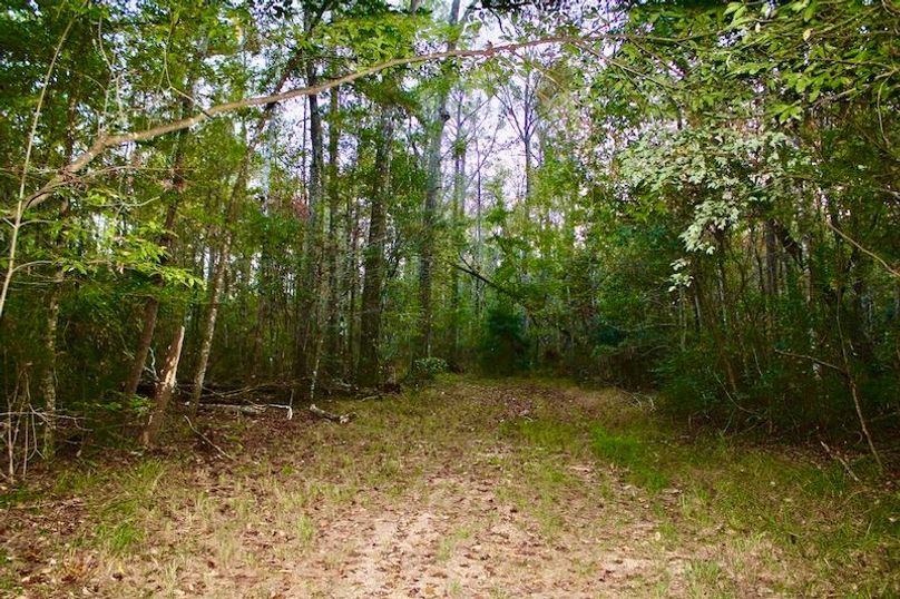 68A2D1ED-B3D4-4A50-A3EB-06D833BFD29C_1_105_c