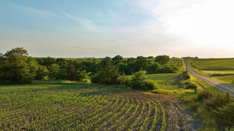 Harrison MO 480 Pro Photo_230 (3)